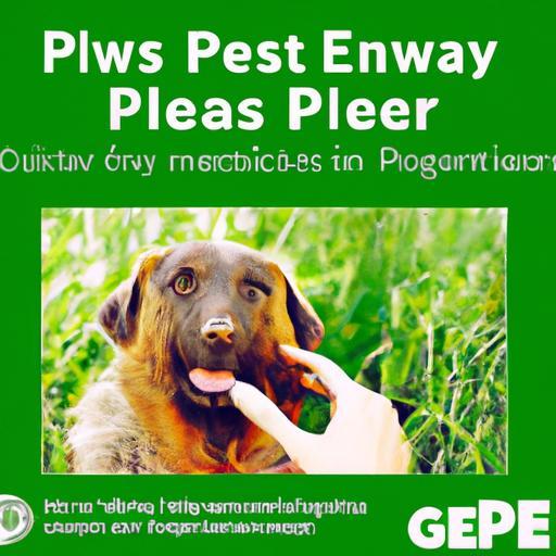 Greener Paws: Eco-Friendly Tips for Sustainable Pet Care